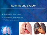 /album/rokningens-skador/a6-andningssystemet-key-klar-014-jpeg/